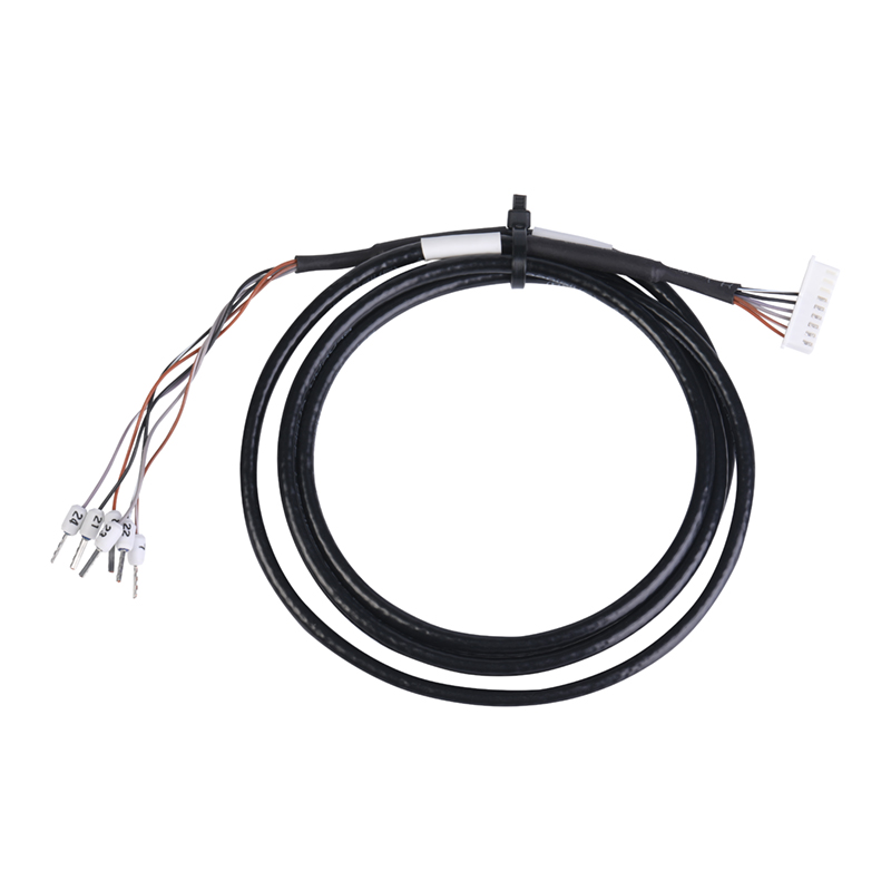 mmexport1733316981456