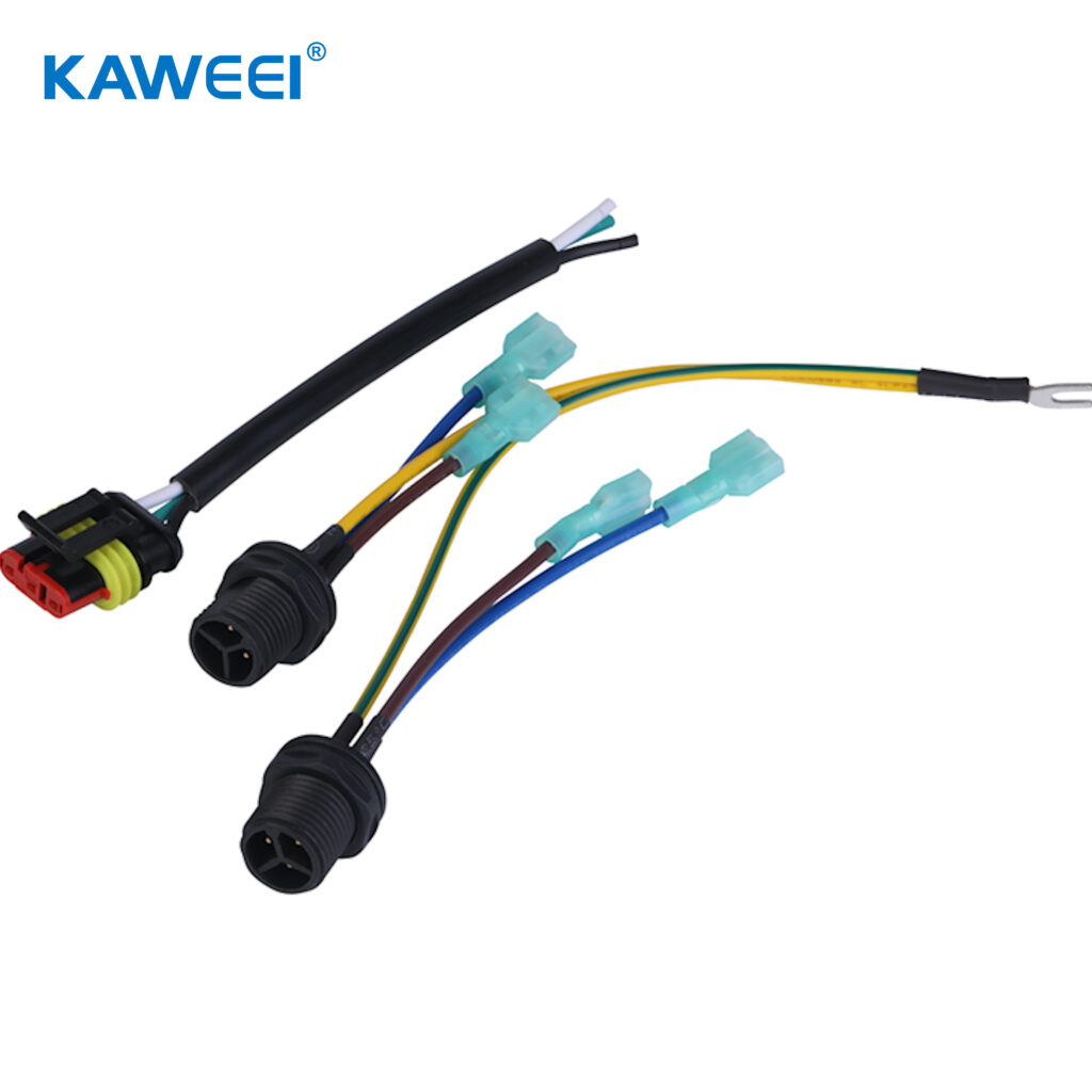 mmexport1733317027885 mmexport1733317027885