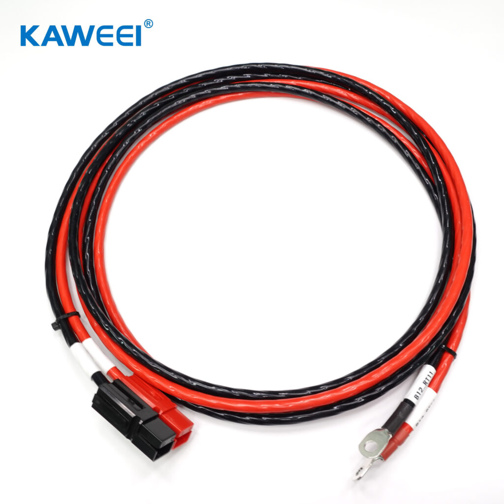 mmexport1733386815119 mmexport1733386815119