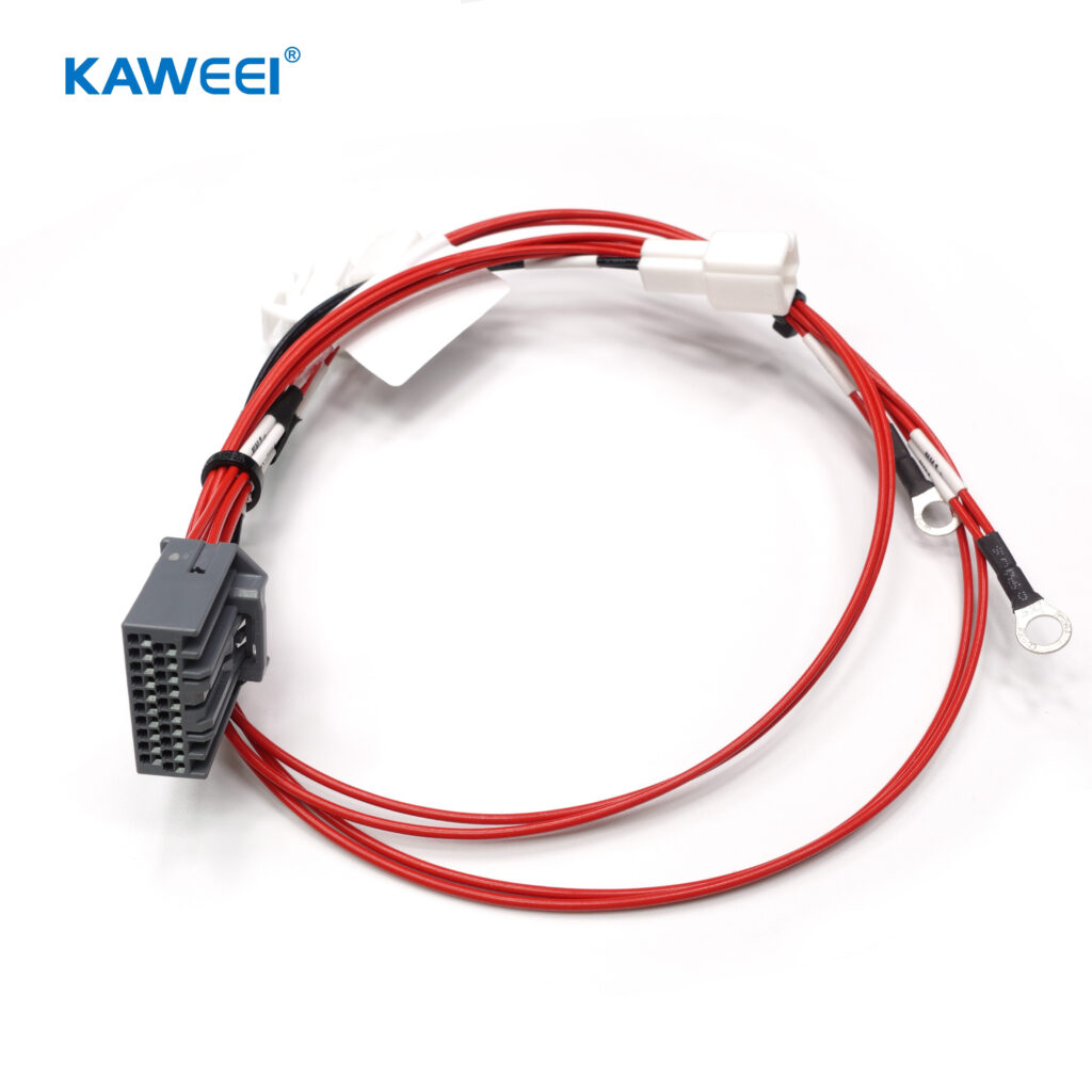 mmexport1733386822025 mmexport1733386822025