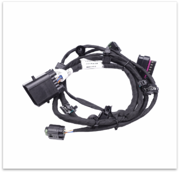 mmexport1733386840697