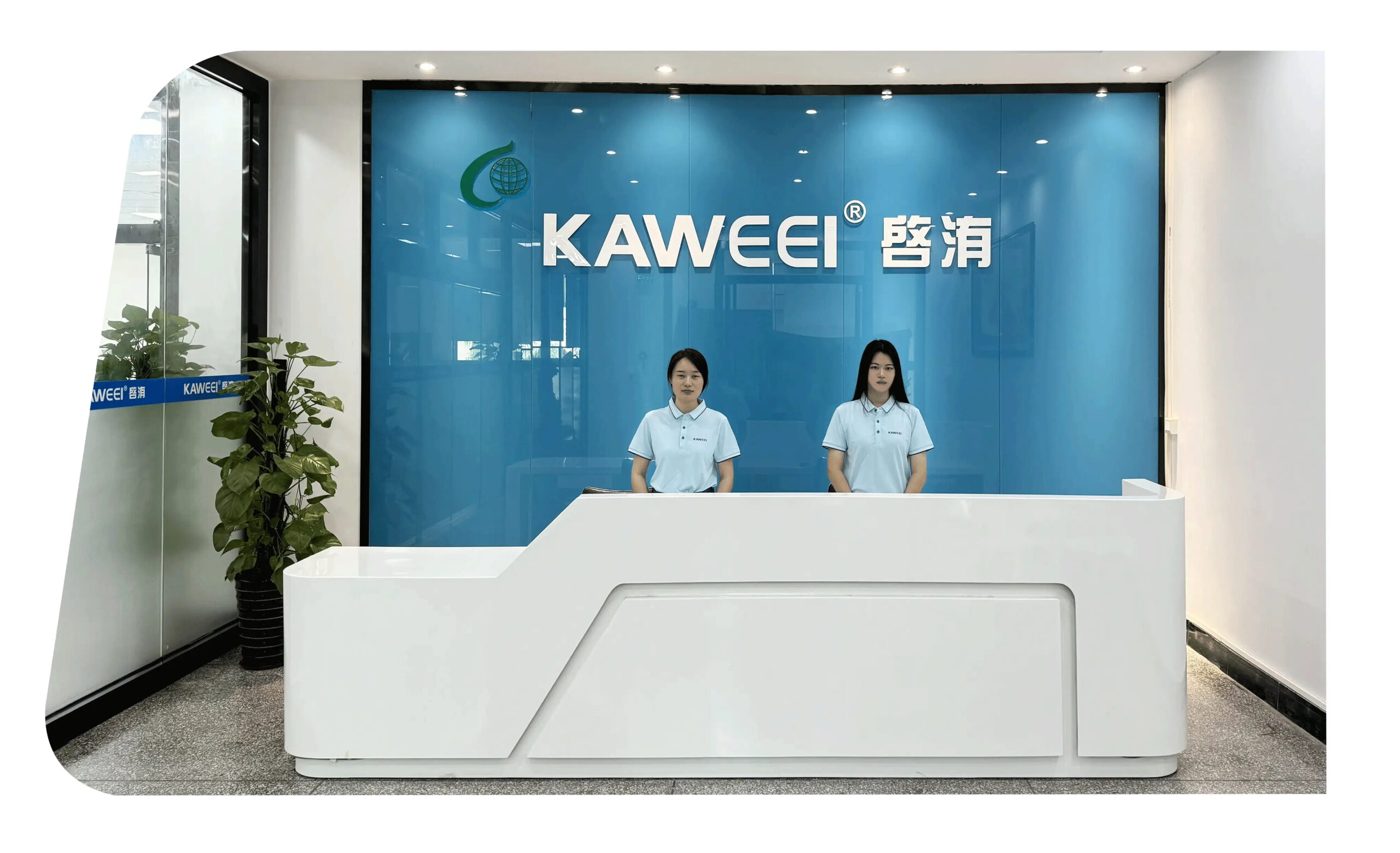 mmexport1733409814945